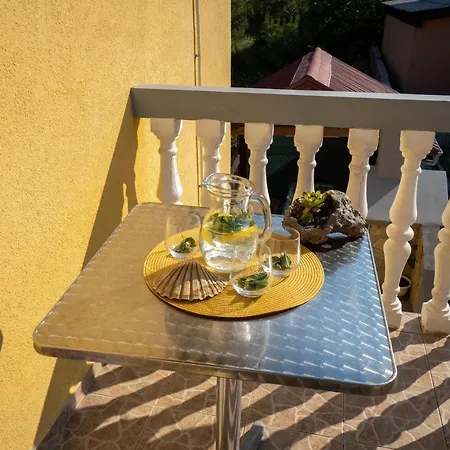 Apartment Pavic